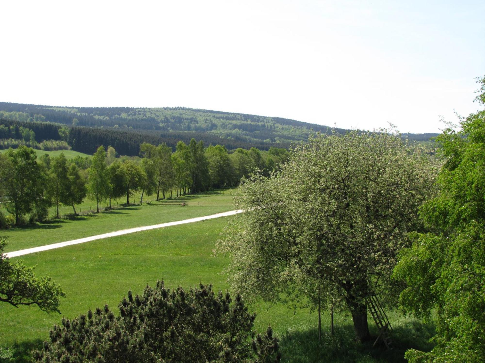 Hotel Steuer Allenbach Extérieur photo